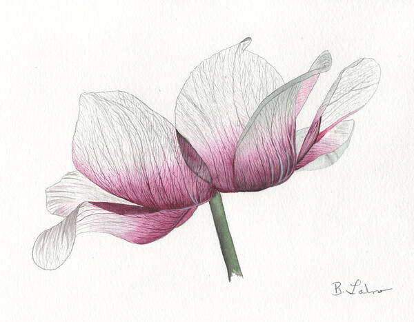 Anemone Art Print featuring the painting Anemone by Bob Labno