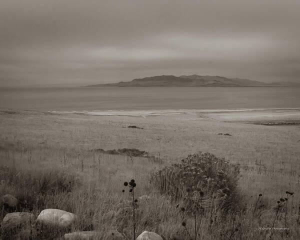 Antalope Island Art Print featuring the photograph Antelope Island in Sepia by Al Griffin