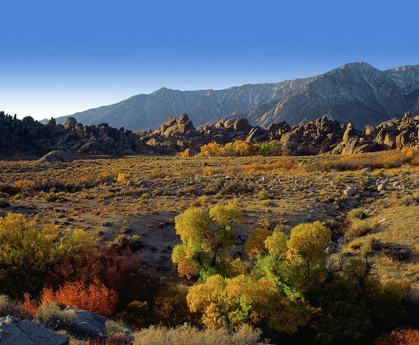 Landscape Art Print featuring the photograph Autumn On Lone Pine Creek by Paul Breitkreuz
