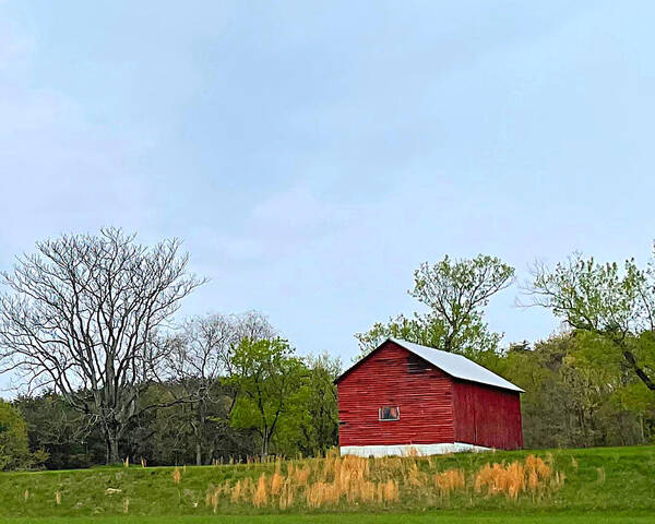 Barn Art Print featuring the photograph Barn with Beard by Lee Darnell