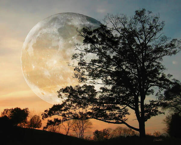 Moon Art Print featuring the photograph Big Moon in Sunset by Shara Abel