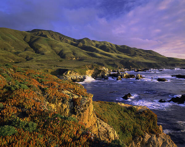 Water's Edge Art Print featuring the photograph Big Sur Coast Of California by Ron and Patty Thomas