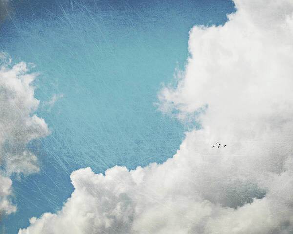 Birds Art Print featuring the photograph Birds In a Big Sky by Lupen Grainne
