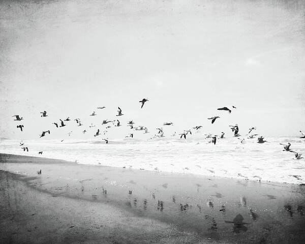 Ocean Art Print featuring the photograph Birds Reflected by Lupen Grainne