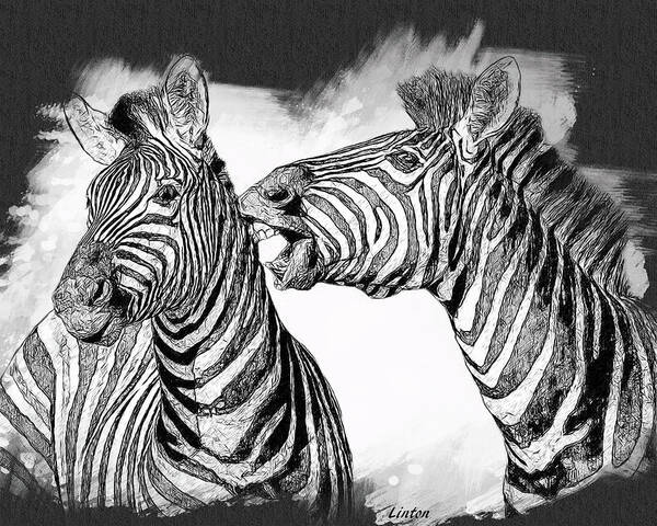 Zebras Art Print featuring the digital art Black On White by Larry Linton