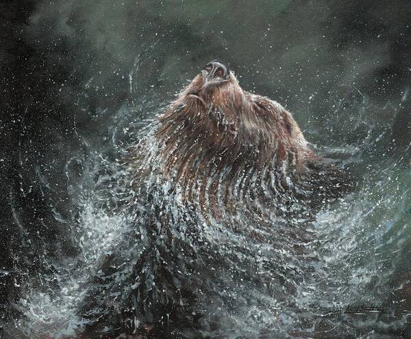 Bear Art Print featuring the painting Brown Bear Splash and Shake by David Stribbling