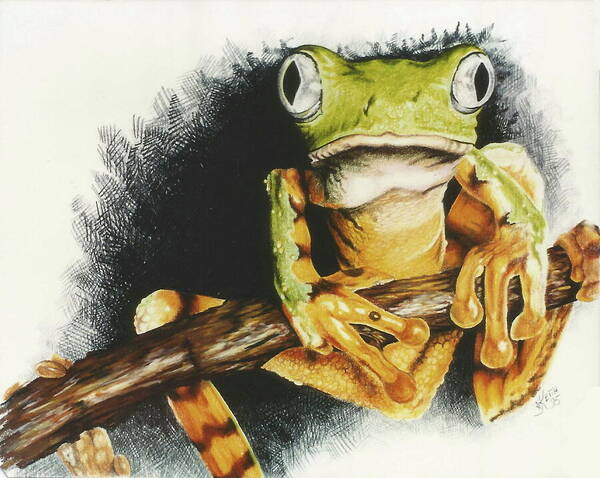 Frog Art Print featuring the drawing Can I Help You by Barbara Keith