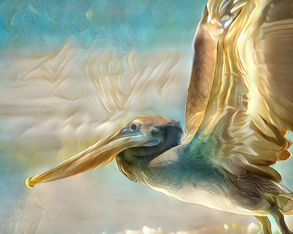 Pelican Art Print featuring the mixed media Colorful Pelican Art by Debra Kewley