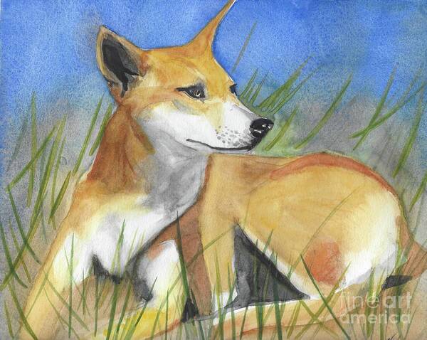 Dingo Art Print featuring the painting Dinggu - Wiradjuri - Dingo, native dog by Vicki B Littell