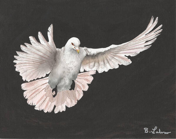 Dove Watercolor Art Print featuring the painting Dove Descending by Bob Labno