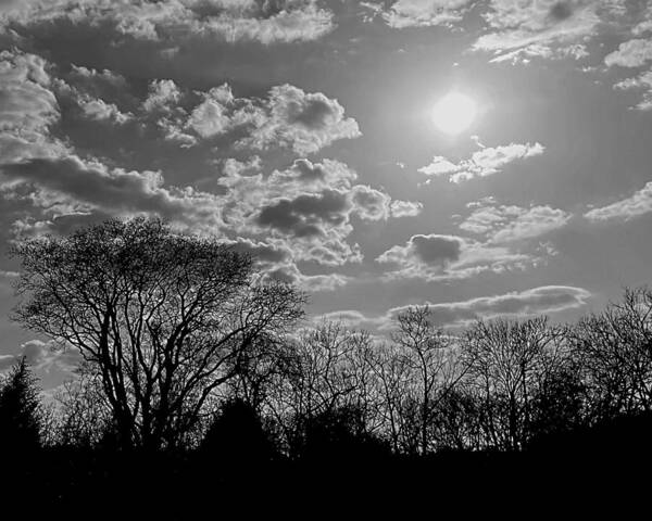 Nashville Art Print featuring the photograph Everything Under the Sun is Perfection BW by Lee Darnell