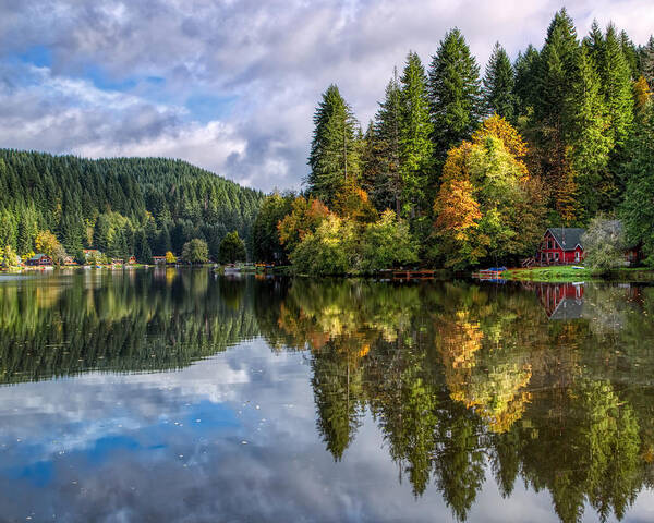 Tree Art Print featuring the photograph Fall Color Reflections by Loyd Towe Photography