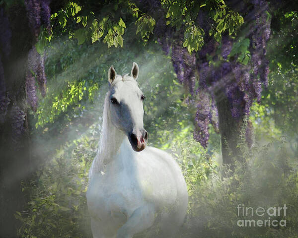 Wisteria In Trees Art Print featuring the digital art Fantasy Orchard by Melinda Hughes-Berland