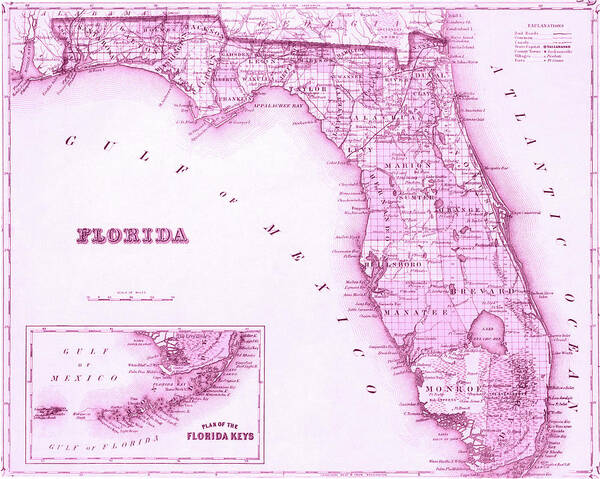 Florida Art Print featuring the photograph Florida Map Pink by Laura Fasulo