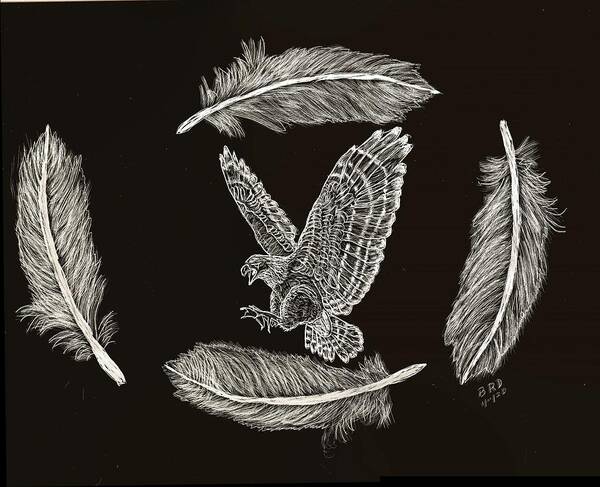 Hawk Art Print featuring the drawing Fly by Night by Branwen Drew