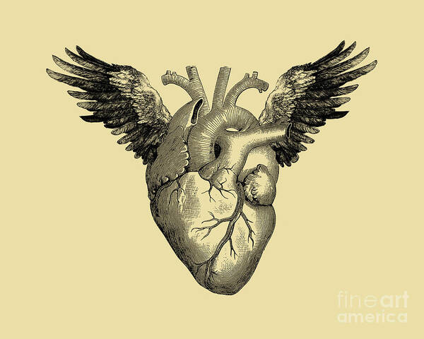 Heart Art Print featuring the mixed media Flying Heart by Madame Memento