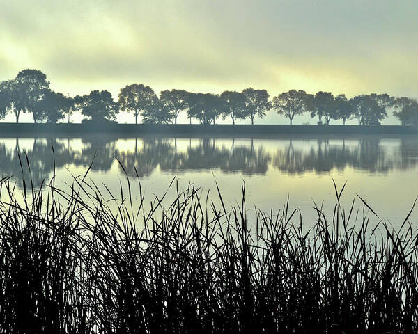 Fog Art Print featuring the photograph Fog at Sunrise by Susie Loechler