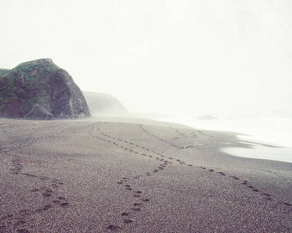 Beach Art Print featuring the photograph Foggy Beach by Lupen Grainne