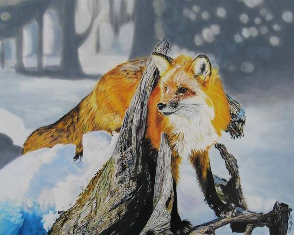 Nature Art Print featuring the drawing Fox by Kelly Speros