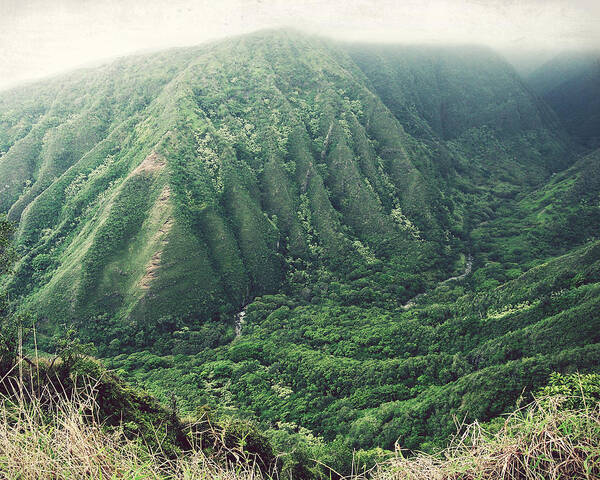 Hawaii Art Print featuring the photograph Green Valley by Lupen Grainne