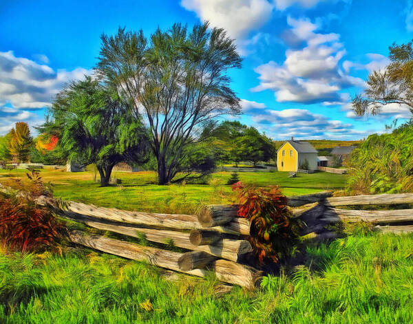 Landscape Art Print featuring the photograph Homestead Fences by Carol Randall