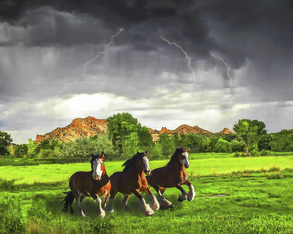 Three Art Print featuring the photograph Horse Lightning by Don Schimmel