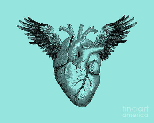 Heart Art Print featuring the digital art Human heart with wings by Madame Memento