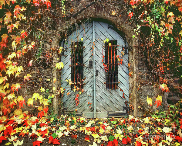 Doors Art Print featuring the photograph International Colors by Don Schimmel