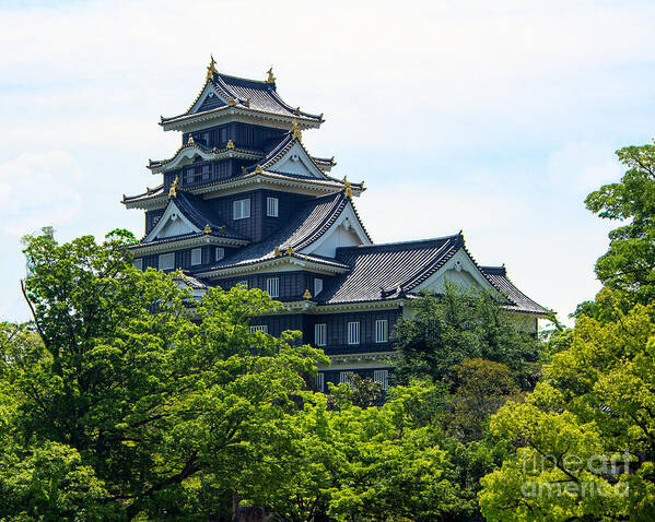 Castle Japan Art Print featuring the photograph Japanese Castle in Okayama. by L Bosco