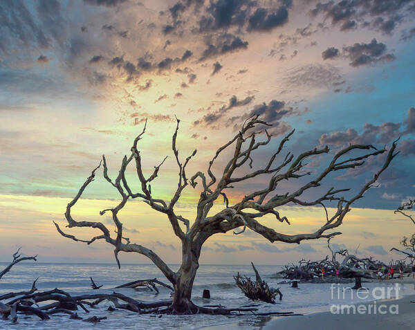 Jekyll Island Art Print featuring the photograph Jekyll Island Drama by Kerri Farley