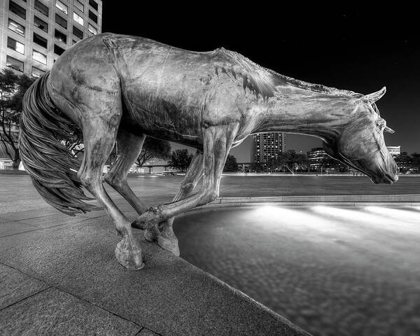 Horse Art Print featuring the photograph Las Colinas Mustang 02 by HawkEye Media