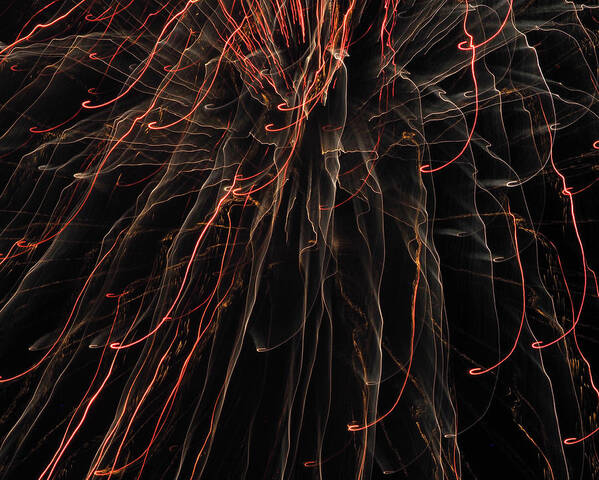 Fireworks Art Print featuring the photograph Light Rain by Karen Cox
