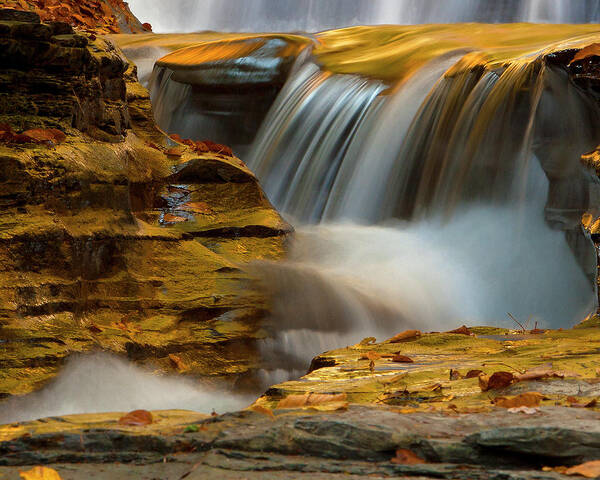 Waterfall Art Print featuring the photograph Liquid Gold by Timothy McIntyre