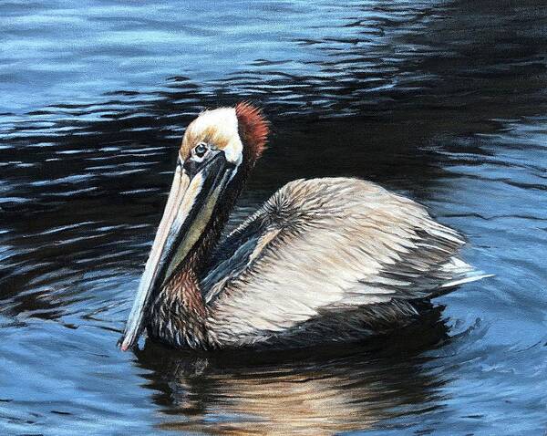 Pelican Art Print featuring the painting Looking for Lunch by Pam Talley