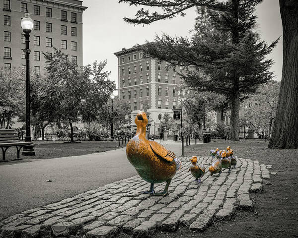 Make Way For Ducklings Art Print featuring the photograph Make Way For Ducklings Selective Coloring - Boston Public Gardens by Gregory Ballos