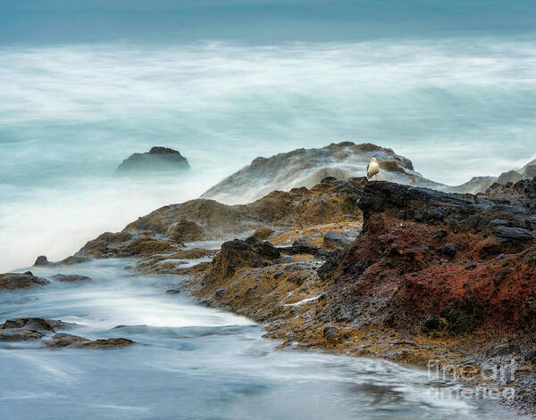 Cape Perpetua Art Print featuring the photograph Mist along the coast by Izet Kapetanovic