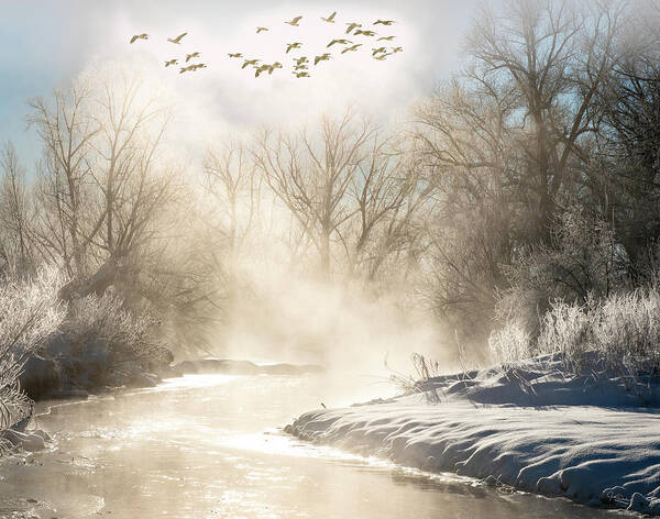 Fog Art Print featuring the photograph Misty Winter Scene by Judi Dressler