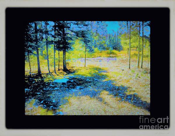  Art Print featuring the photograph Mossy Ground by Shirley Moravec