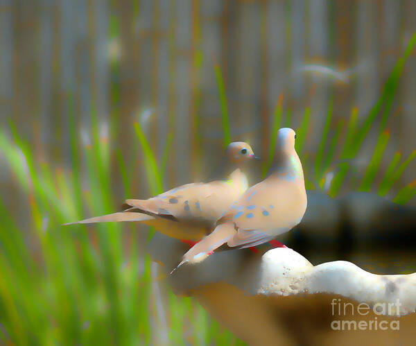 Doves Art Print featuring the photograph Mourning Doves by Alison Belsan Horton