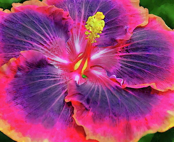 Hibiscus Art Print featuring the painting Multi-Color Hibiscus by Russ Harris