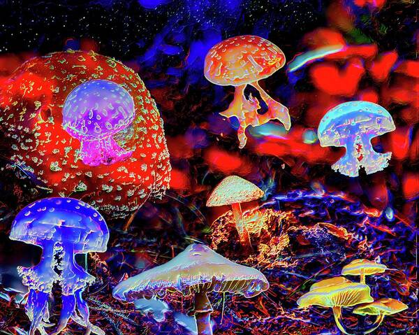 Jellyfish Art Print featuring the digital art Mushrooms and Jellyfish by Norman Brule