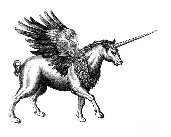 Realistic Unicorn Drawing Vector Images (41)