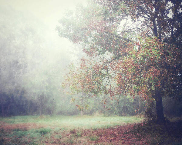 Autumn Art Print featuring the photograph October Meadow by Lupen Grainne