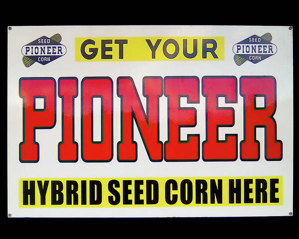 Pioneer Seed Art Print featuring the photograph Pioneer Seed vintage sign by Flees Photos
