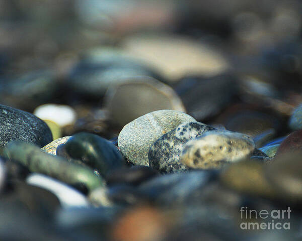 Sea Art Print featuring the photograph Polished Stones from the Sea by Doug Gist