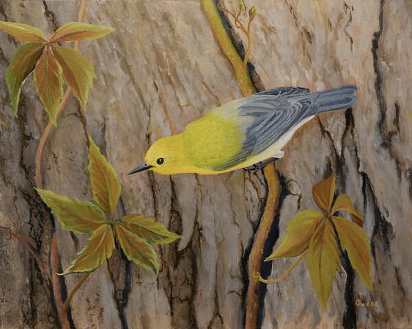 Warbler Art Print featuring the painting Prothonotary Warbler by Charles Owens