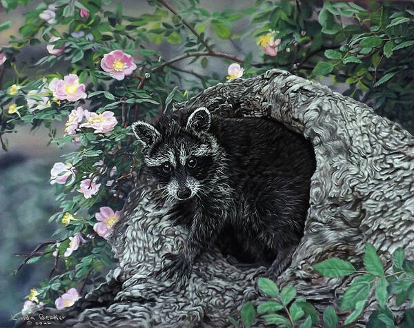 Raccoon Art Print featuring the painting Raccoon Heaven by Linda Becker