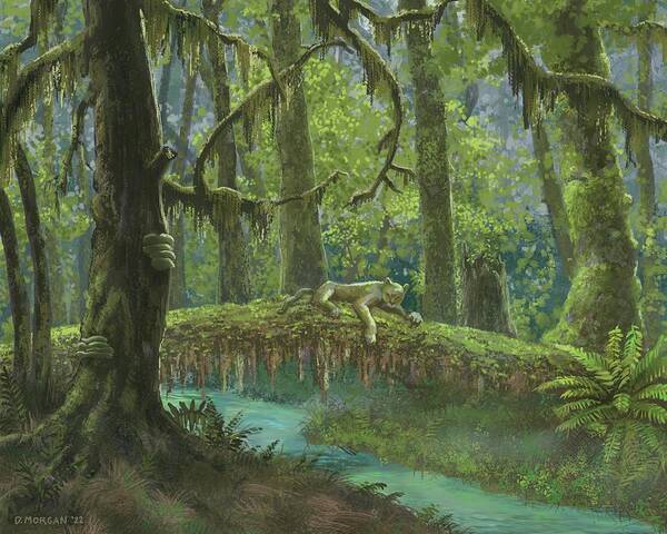 Rainforest Art Print featuring the painting Rainforest Afternoon by Don Morgan