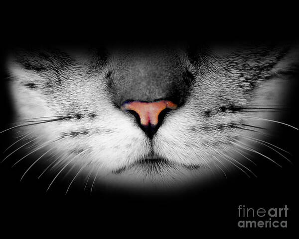 Cat Art Print featuring the digital art Realistic Cute Furry Cat Face by Laura Ostrowski