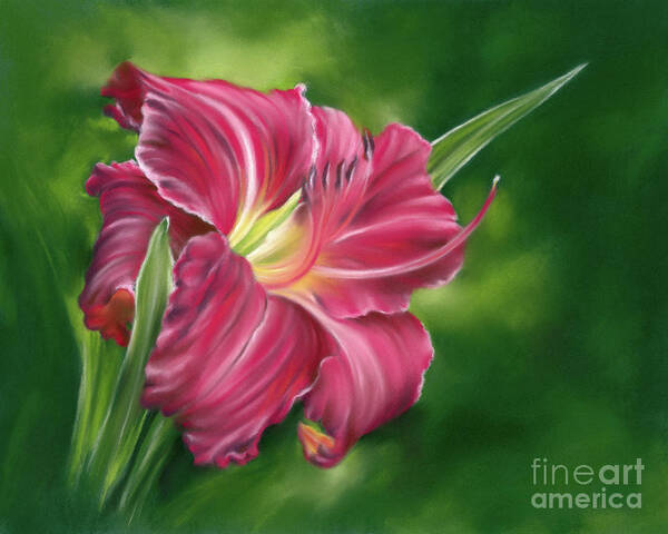 Botanical Art Print featuring the painting Red Daylily on Green by MM Anderson